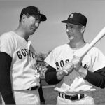 Yastrzemski and Williams