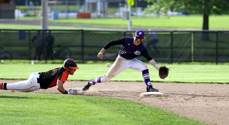 Which Student Baseball Teams are the Most Popular?