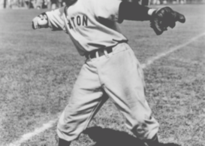 Dom DiMaggio