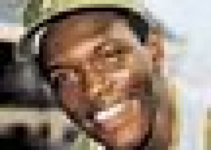 vida blue