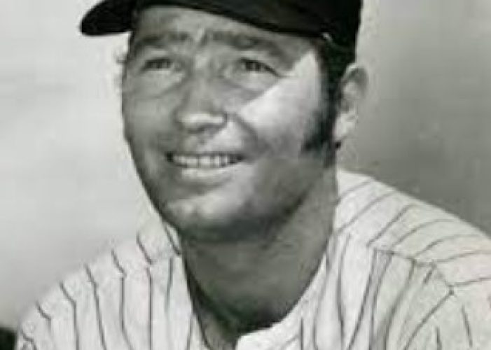 dave bosewell minnesota twins