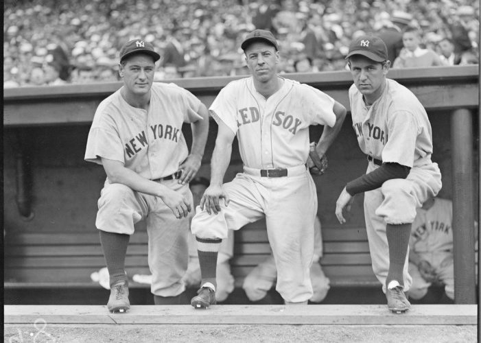 gomez dimaggio